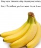 IMG_0774.jpeg