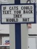 IMG_7834.jpeg