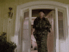 ThatConventionalCaracal-max-1mb.gif