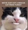 IMG_7883.jpeg