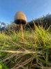 IMG_1584.jpeg