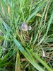 IMG_1585.jpeg