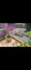 Screenshot_2023-10-29-09-23-35-233_com.miui.gallery.jpg