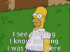 homer-simpson-i-see.gif