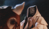 tumblr_lzqu6o6kij1qjj0j1o1_400.gif