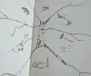 PXL_20231113_211926728.jpg