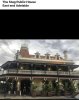 IMG_8301.jpeg