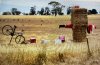 IMG_8524.jpeg