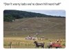IMG_0912.jpeg
