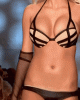 bew.gif