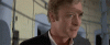 giphy (15).gif