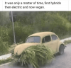 IMG_1673.png