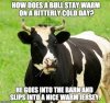 FB_IMG_1706349072198.jpg