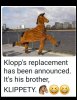 IMG_9952.jpeg