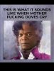 IMG_9937.jpeg
