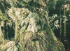 6188c226b98950dcd456945a19c13ffb1aa06cf4r1-245-179_00.gif