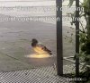 IMG_1746.jpeg