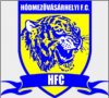 Hodmezovasarhely FC.JPG