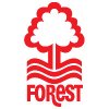 forest.jpg