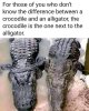 FB_IMG_1711039755748.jpg