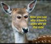 FB_IMG_1713117275807.jpg