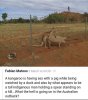 FB_IMG_1713287982415.jpg