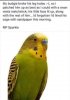FB_IMG_1713521879133.jpg