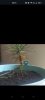 Screenshot_2024-04-26-20-16-16-30_40deb401b9ffe8e1df2f1cc5ba480b12.jpg
