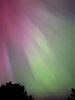 279aa24b-30d2-4d05-b050-73b01daf454b.jpeg