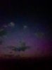 IMG_5518.jpeg