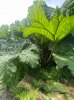 IMG_5660.jpeg