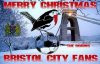 FB_IMG_1450968025218.jpg