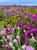 IMG_6625.jpeg