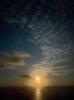 IMG_6827.jpeg
