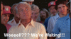 upload_2024-8-19_15-49-38.gif