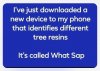 455965144_2850000508500076_3900513798650992449_n.jpg