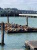 IMG_7383.jpeg