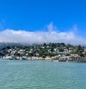 IMG_7384.jpeg