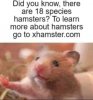 FB_IMG_1725961603637.jpg