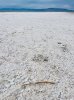 IMG_7724.jpeg