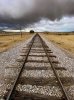 IMG_7795.jpeg