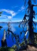 IMG_8275.jpeg