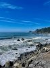 IMG_8324.jpeg