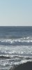 IMG_8461.jpeg