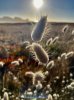 IMG_8472.jpeg