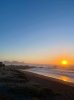 IMG_8495.jpeg