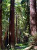 IMG_8511.jpeg