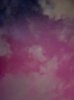 IMG_8721.jpeg
