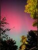 IMG_7036.jpeg