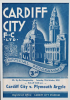 Plymouth Programme.png